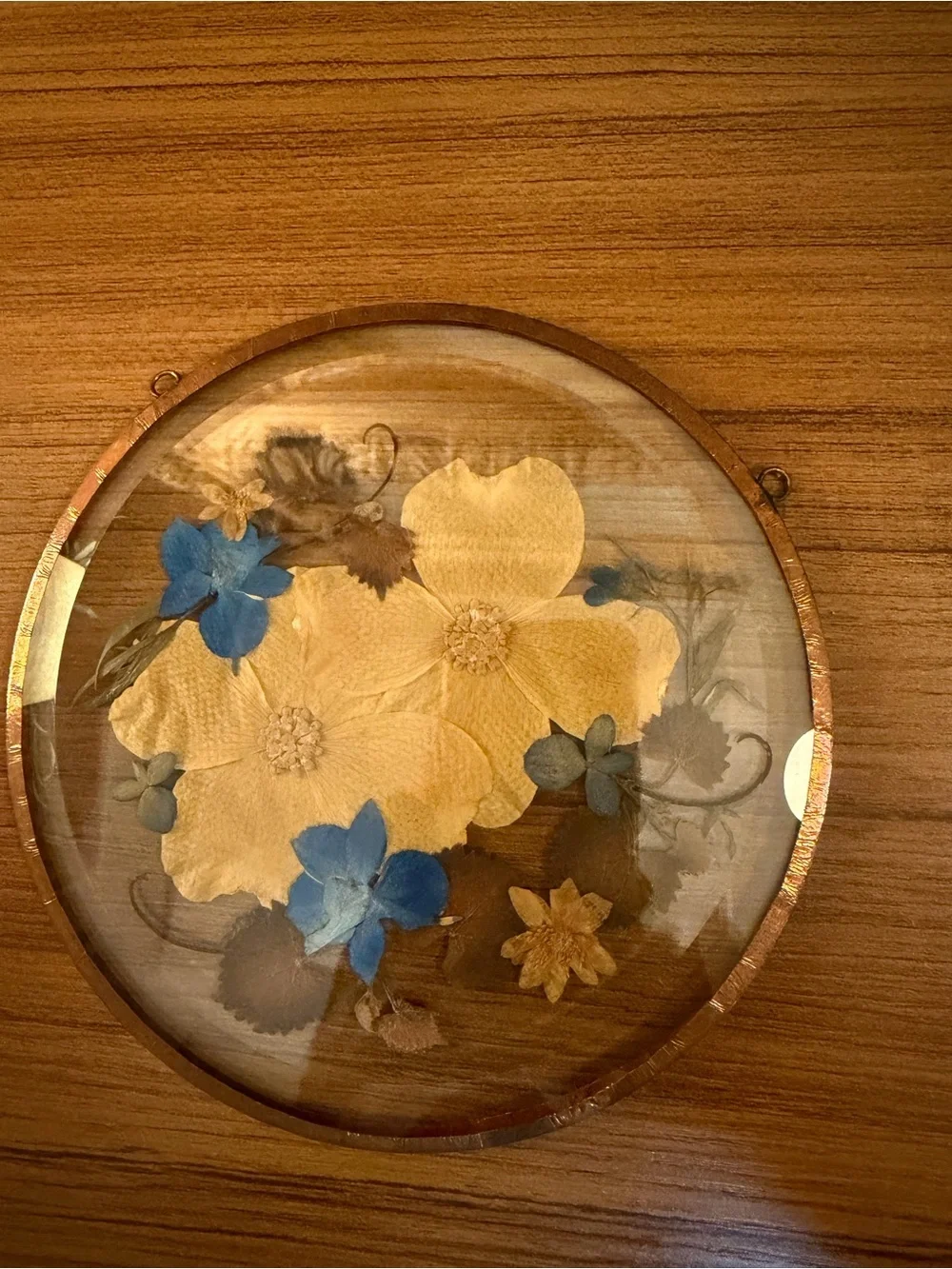 Vintage Pressed Flower Glass Suncatcher Frame 6